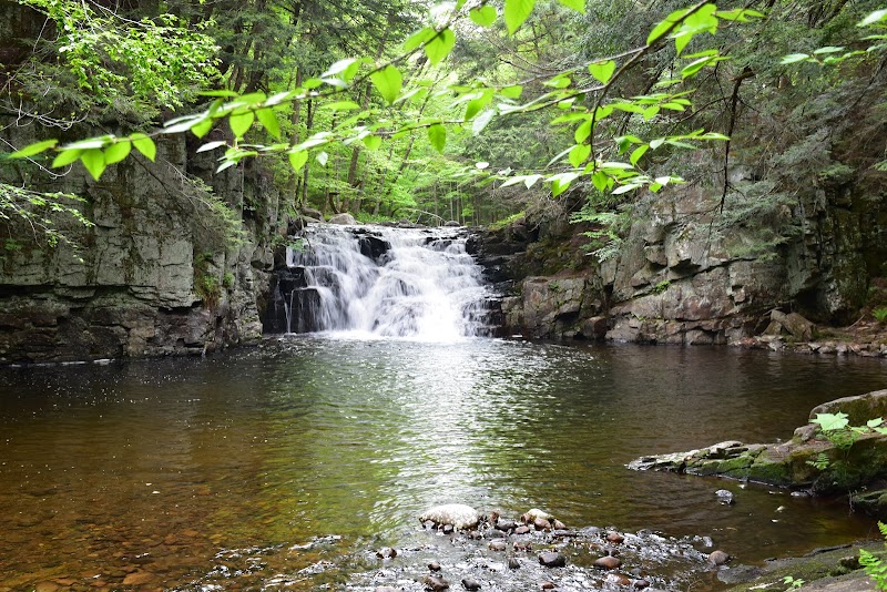 Tennant Falls