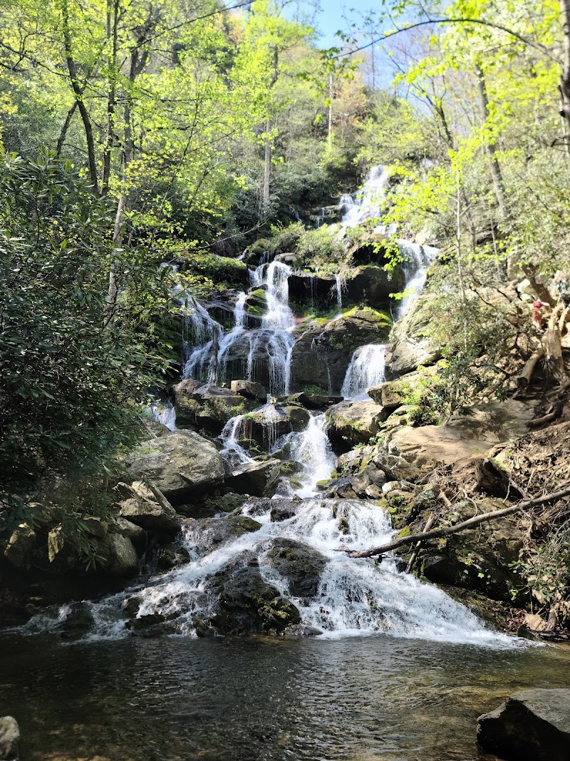 Tyee Falls
