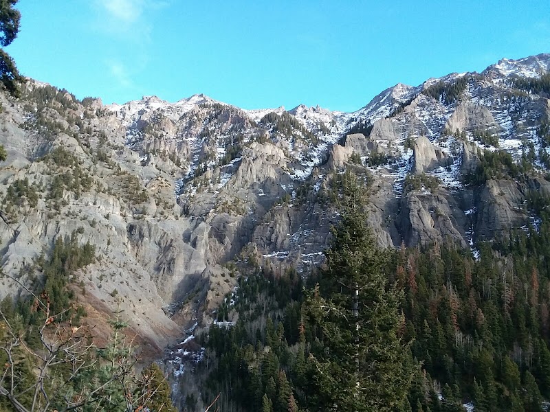 Uncompahgre River Falls