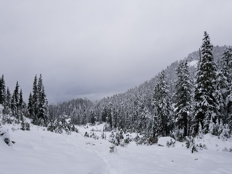 Upper Anderson Creek Falls
