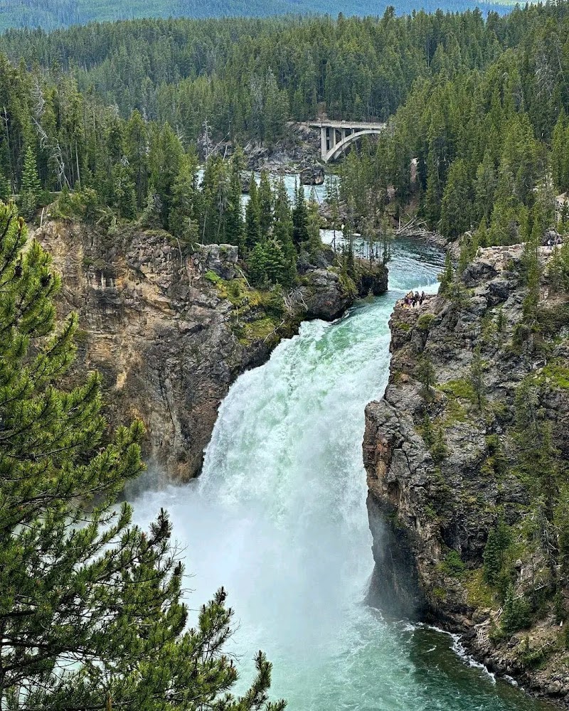 Upper Yellowstone Falls