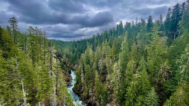 Vincent Creek Falls