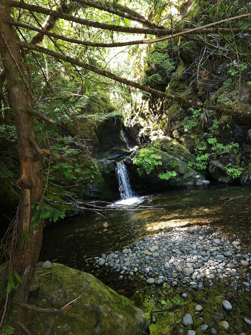 Vincent Creek Falls