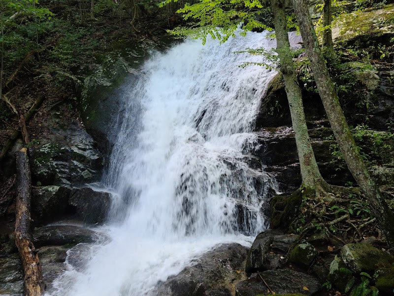 Virginia Falls
