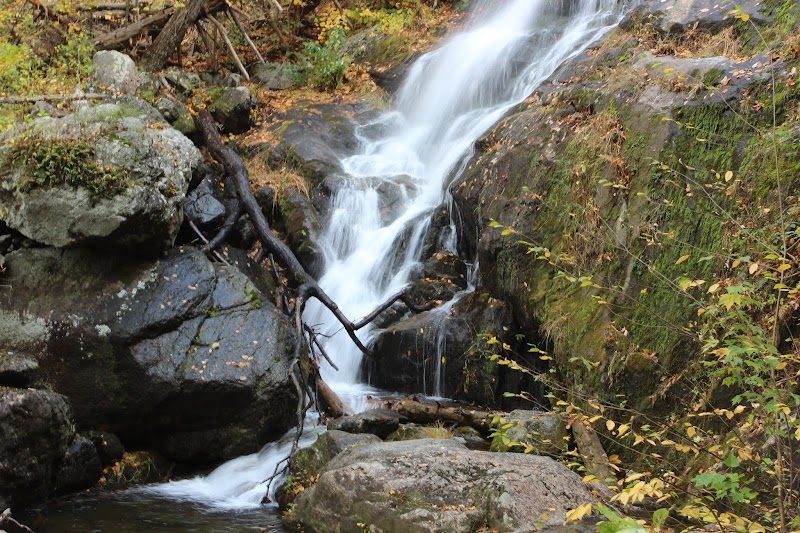 Virginia Falls