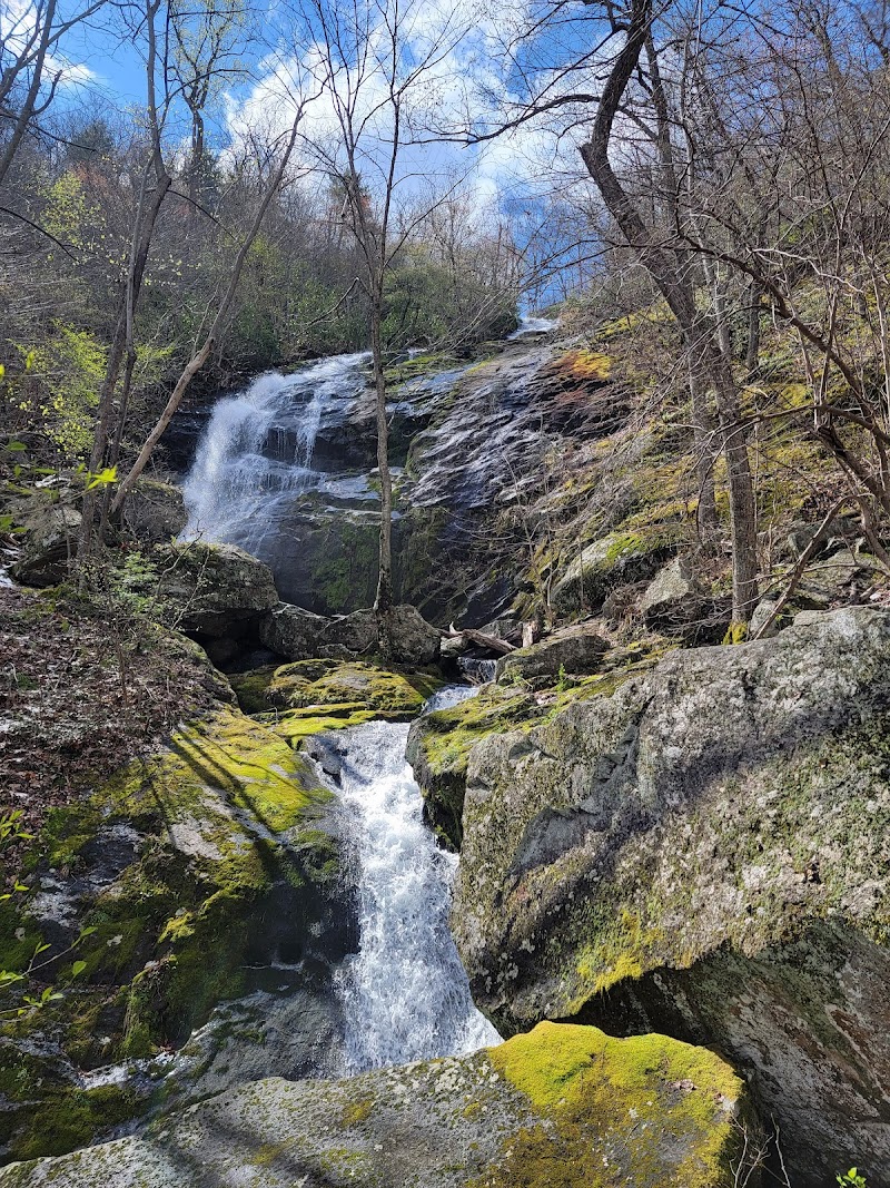 Virginia Falls
