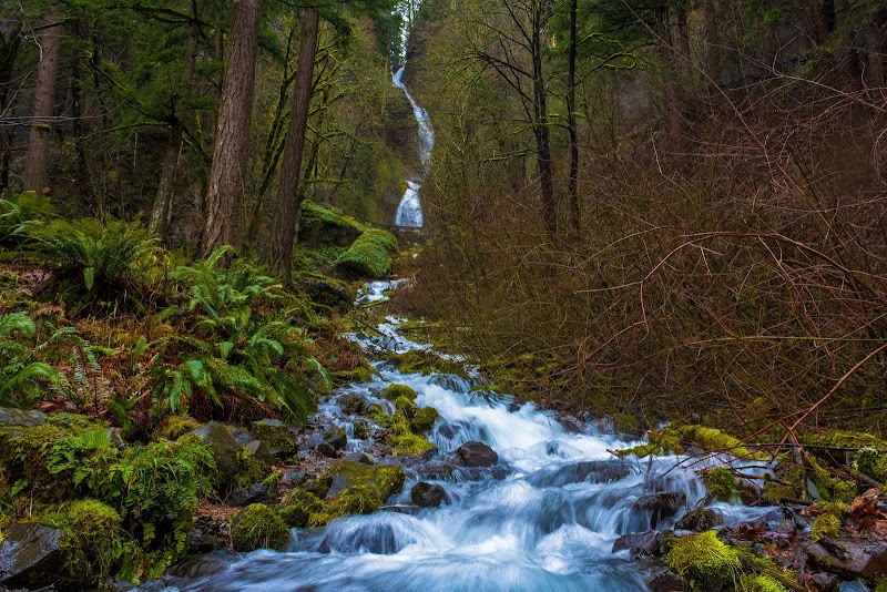 Wahkeena Falls