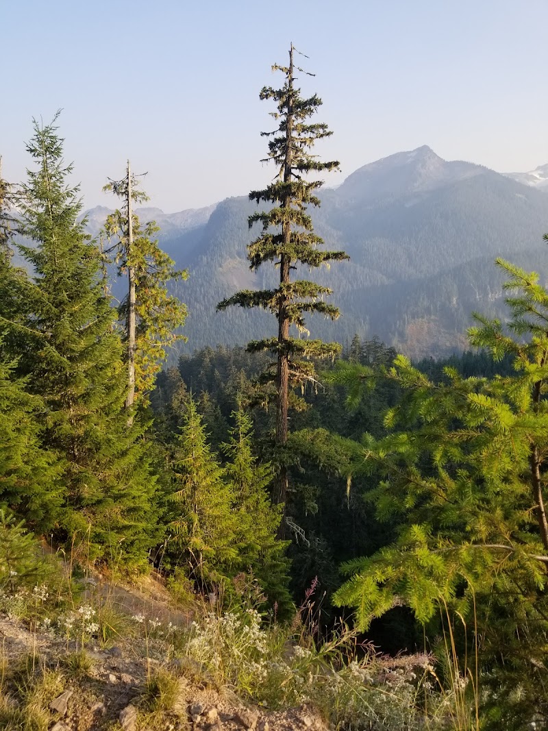 Wells Creek Falls