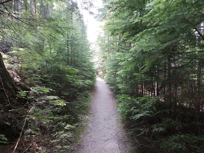 Wilson Creek Falls