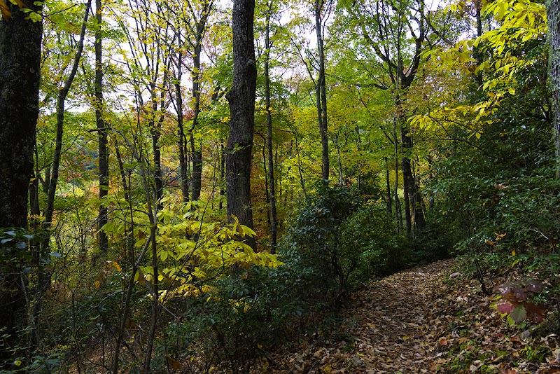 Woodfin Cascades