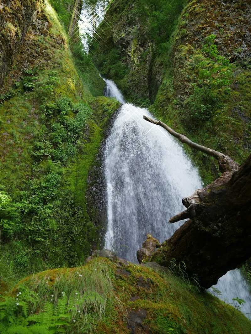 Wy'east Falls